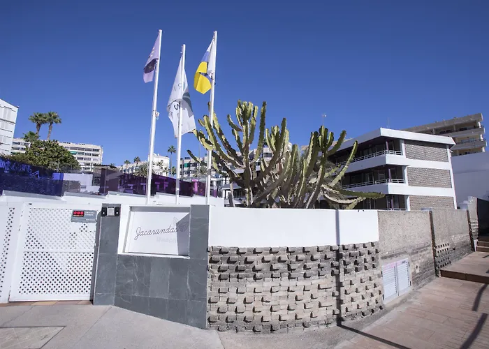 Jacarandas 2*